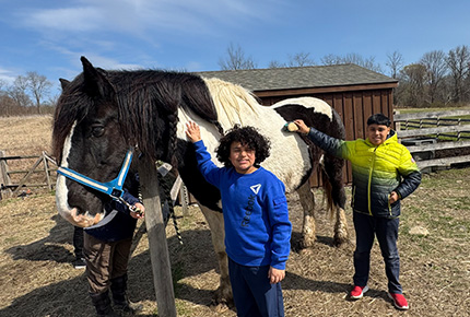 two students touching and brushing a large horse